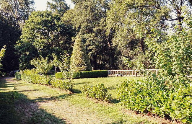 Castro de Viladonga Tour - Foto 2