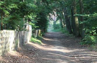 Moderne Wohnung im skandinavischen Stil am Waldrand - Foto 34