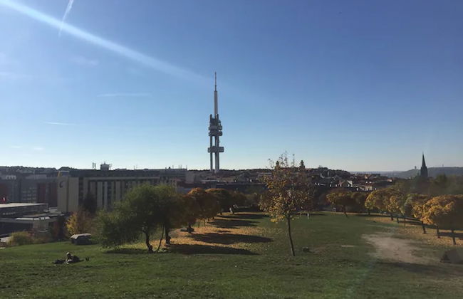 Ground Floor Apartment - Foto 19