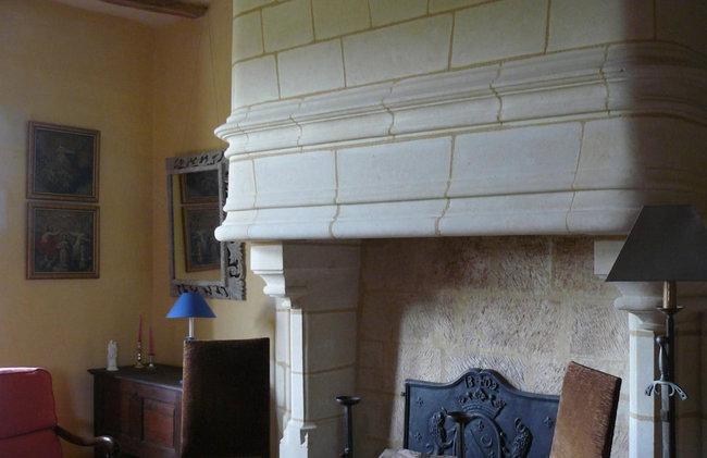 Manoir du Bois Noblet - Foto 46