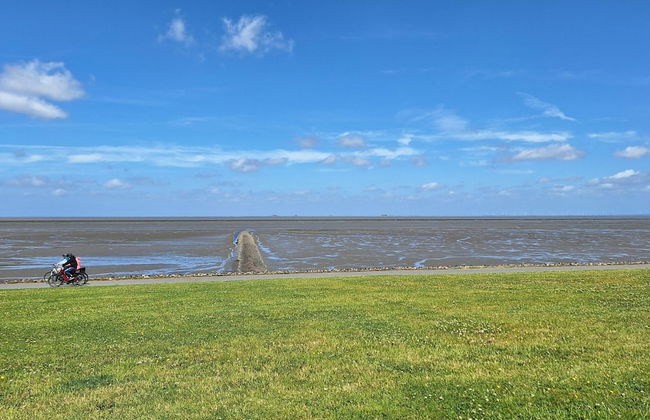 Penthouse am Nordstrand auf dem Deich - Foto 28