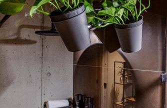 Bieszczady , Sadyba na Lipowcu - Foto 3