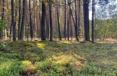 Osada California - Foto 58