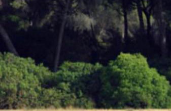 Pequeño Rocío Urbanizacion privada - Foto 11