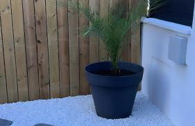 Maison jardin paisible 1 chambre - Foto 7