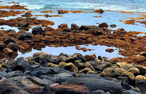 Apartamento Biri Biri - Foto 18