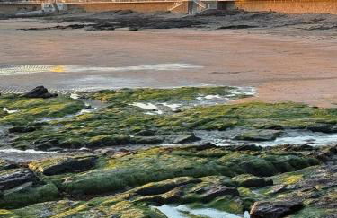 appartement cocon à Quiberon dans résidence calme, plages et centre ville à pied ou à vélo pour 2 à 4 personnes - Foto 19