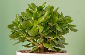 "Nico's Apartment" in Centro Città - Foto 7