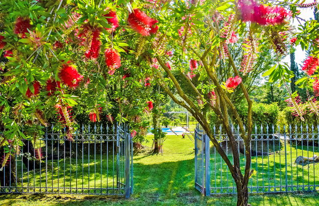 Tenuta Valente - Foto 40