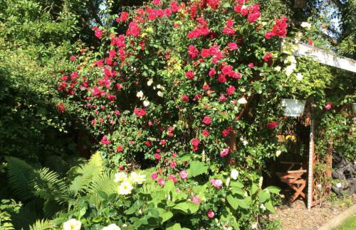 Haus-Magarethe - Foto 22