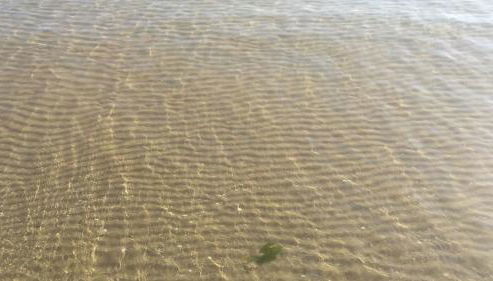 Domus Maris Pineto - Foto 3