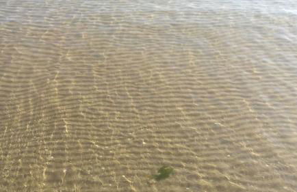 Domus Maris Pineto - Foto 3