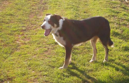 Burton Farmhouse - Foto 24