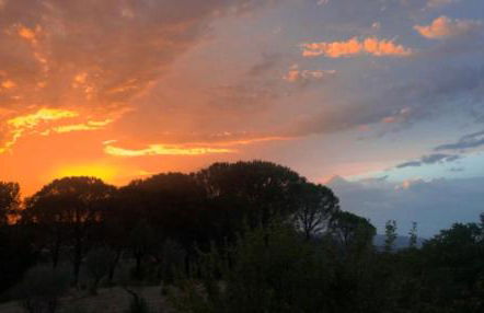 La casa del timo - The house of thyme - Foto 33