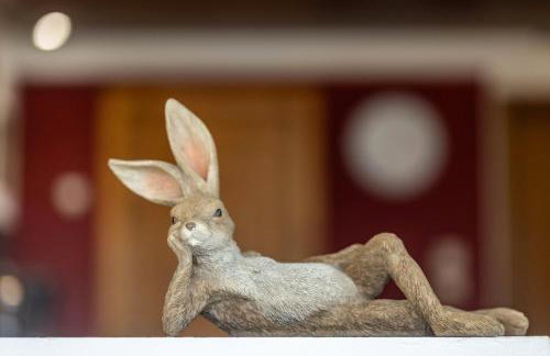 Ferienwohnungen Zum Hasenbahnhof - Photo 6