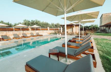 Entheon Olive Villas - Poolside Retreats - Foto 3