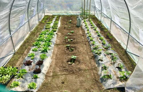 Ca' de Paggia - Foto 34