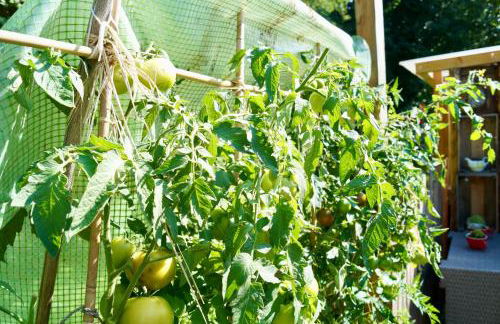 Grüne Oase - Foto 29