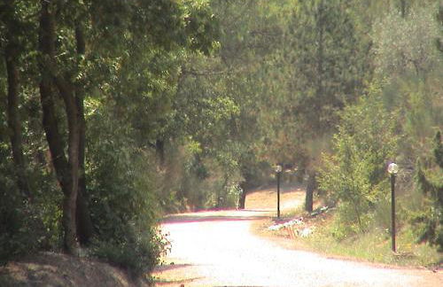 Agriturismo Belsito Pian Di Boccio - Foto 76