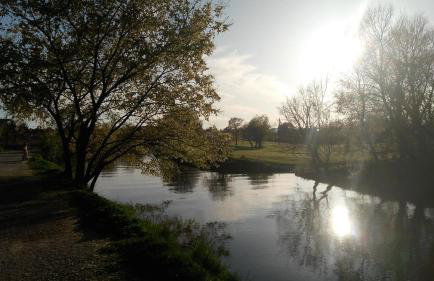 Apartments Babic - Photo 31