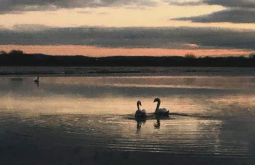 Lower Godney Little House - Foto 8