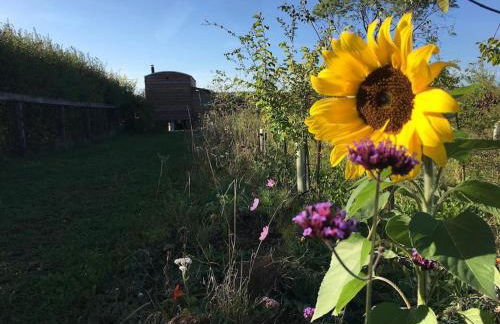 Private Shepherds hut with Castle view - Foto 40