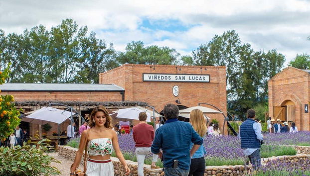 El Viñedo San Lucas