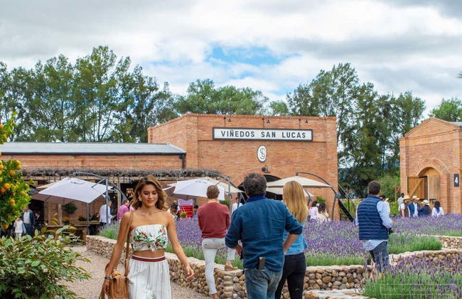 Visita a un viñedo de San Miguel de Allende - Foto 2
