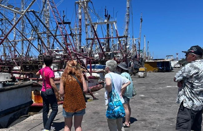 Mazatlan Seafood Secrets - Half-Day Guided Tour - Photo 6
