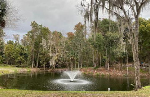 St Johns River Cabin - Foto 13