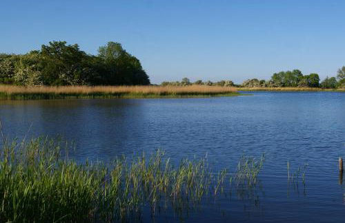 Ferienwohnung Boddenblick - Foto 15