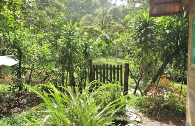 Mindo Eco chalet - Foto 49