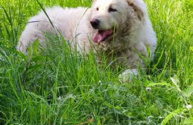 La Pezzuola 53 - Foto 55