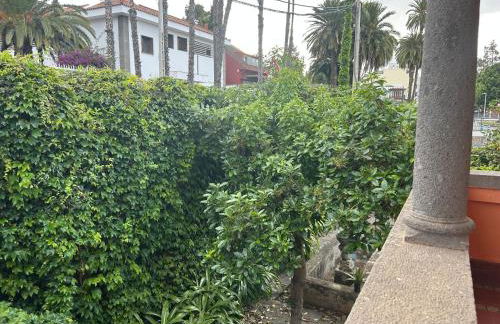 Guesthouse Casa DEL RIO - Foto 3