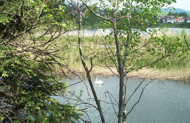 Ferienwohnung Stricker Harz - Photo 66