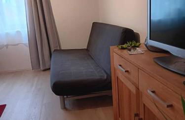 Naturaktivitäten, Entspannung - Ferienwohnung - Foto 8