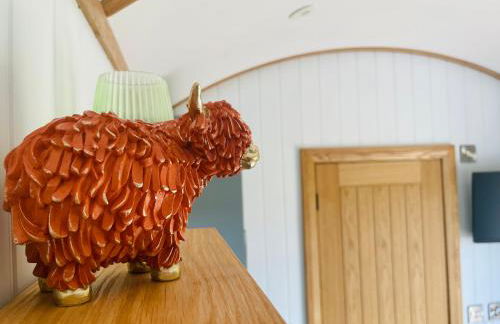 Aberdaron Shepherd Huts - Foto 17