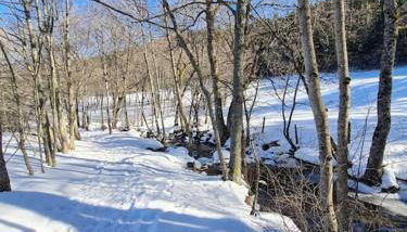 Chalet, Murat (nouveau logement) - Foto 3