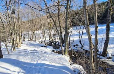 Chalet, Murat (nouveau logement) - Photo 3