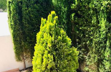 Casa de familia - Foto 13