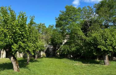 Mas Ardéchois de caractère - Photo 27