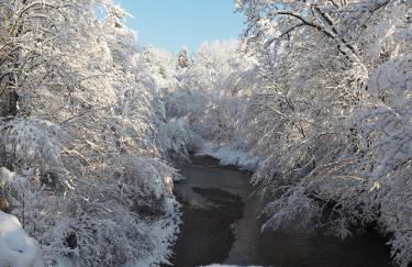 Ferienwohnung "In der Argenschleife" - Foto 19