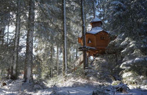 Cabanes des Volcans - Foto 12