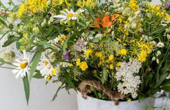 Residenza La Zagara - Foto 29