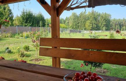 Agrosturystyka Leśna 21 - Foto 38