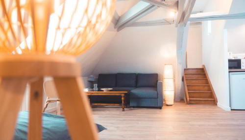 Le Nid dAigle - Spacieux logement sous les toits - Foto 2