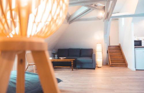 Le Nid dAigle - Spacieux logement sous les toits - Foto 2