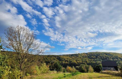 Cichosan domek w dolinie Sanu - Foto 42