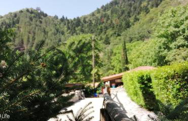 Petrina Theohari - Foto 28