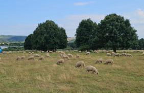 Holiday Everyday - Urlaubsparadies mit 2 Fahrrädern - Foto 20